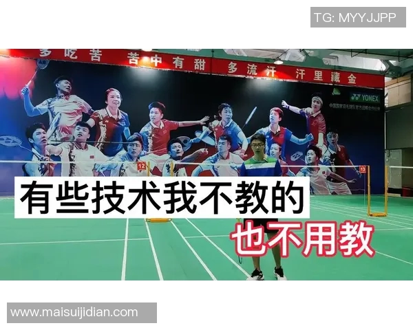 羽毛球热点解析：杭州羽毛球队的战术布局与发展策略探讨